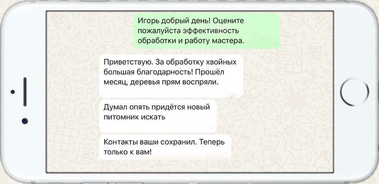 истребление вредителей на деревьях - фото №1