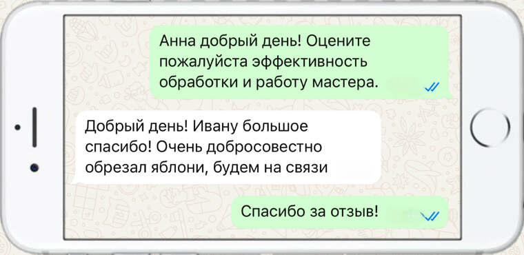 истребление вредителей на деревьях - фото №15