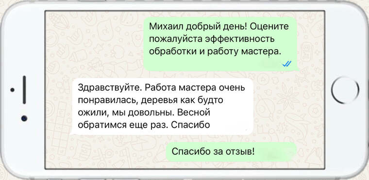 истребление вредителей на деревьях - фото №19