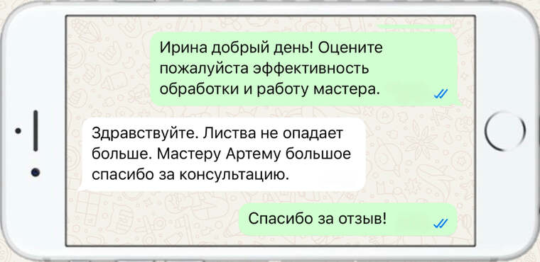 истребление вредителей на деревьях - фото №22