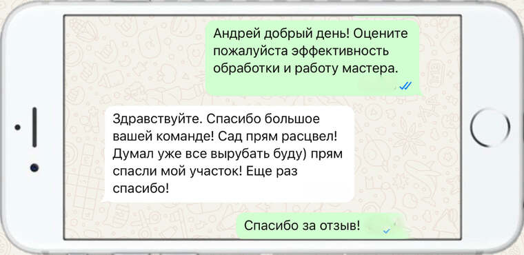 истребление вредителей на деревьях - фото №23