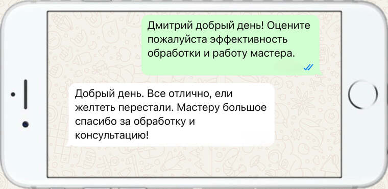 истребление вредителей на деревьях - фото №24